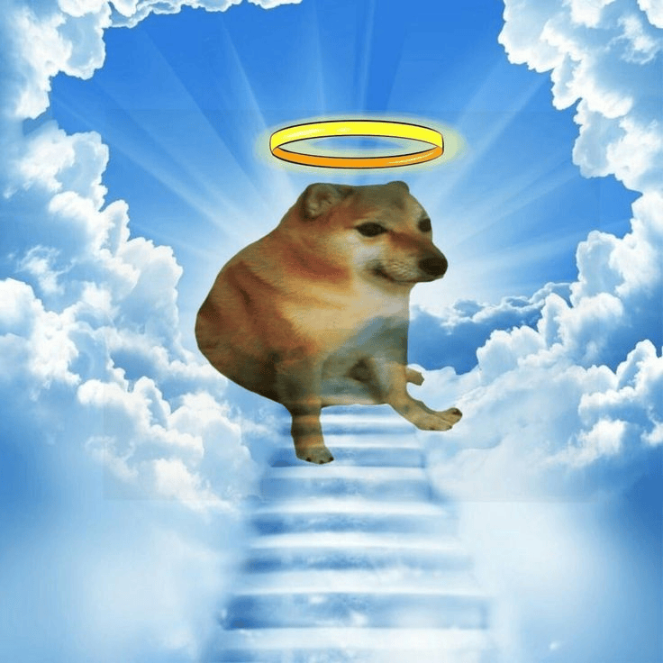 RIP Cheems
